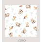 Set Babero Bandana Reversible + Tres Babita Ciro-Todo Amor Baby