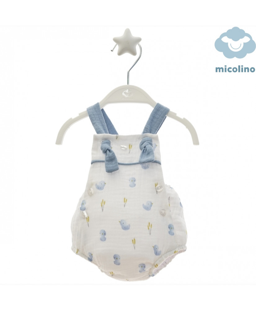 Ranita Familia Estrofa-Micolino