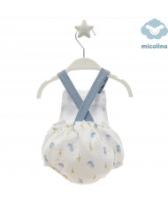 Ranita Familia Estrofa-Micolino