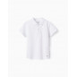 Polo De Algodón Para Niño, Blanco-Zippy