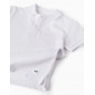 Polo De Algodón Para Niño, Blanco-Zippy