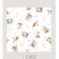 Conjunto 3 Piezas Prematuro  Estampa Ciro-Todo Amor Baby