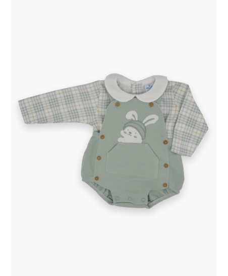 Conjunto 2Piezas Ranita Familia CuadrosAnabella-Sardon