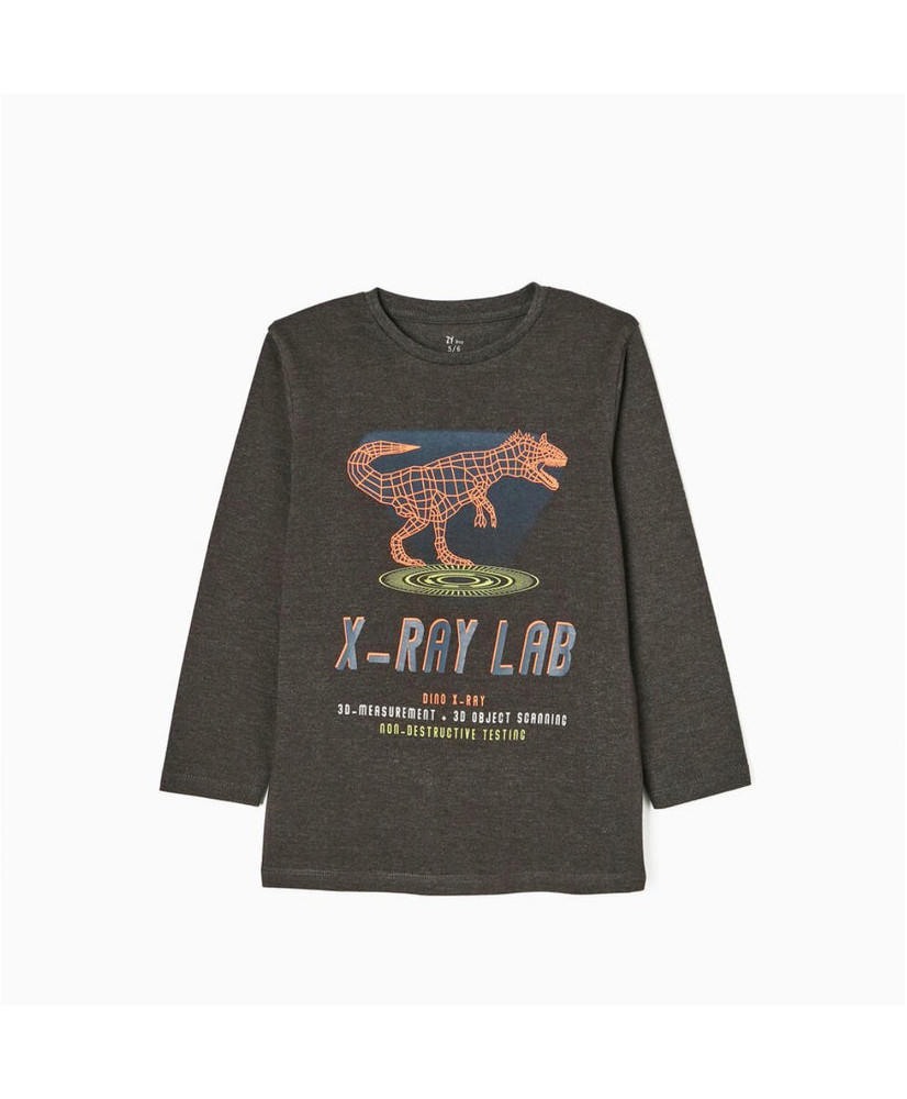 Camiseta Manga Larga Niño Dinosaurio-Zippy