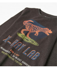 Camiseta Manga Larga Niño Dinosaurio-Zippy
