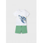 Conjunto bermuda y camiseta tortuga niño Blanco/Laurel-Mayoral