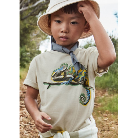 Camiseta camaleón niño cuarzo-Mayoral