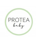 Protea baby