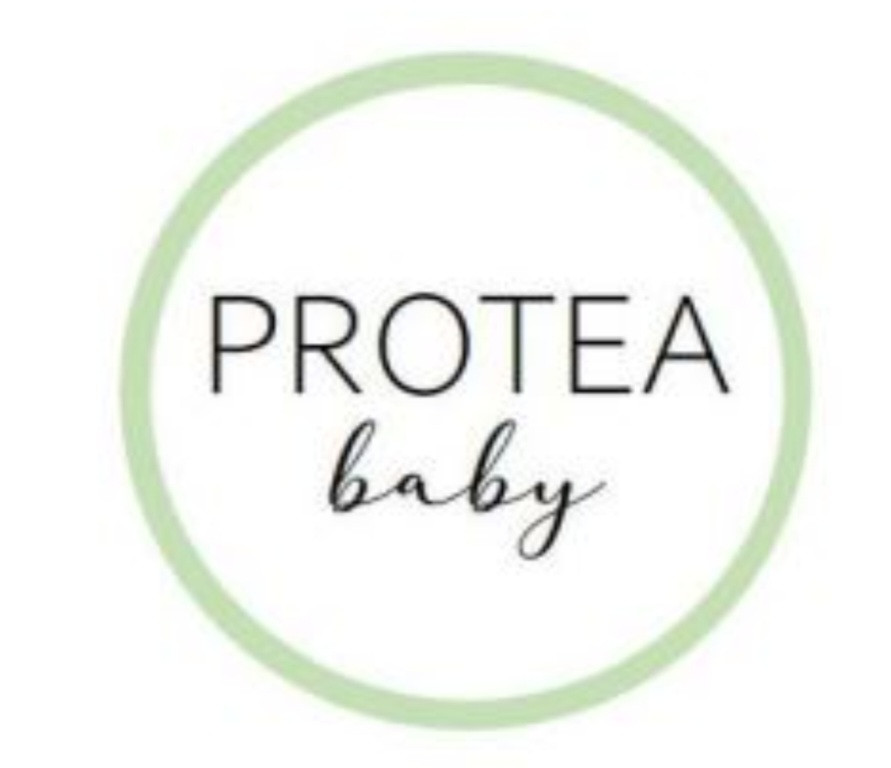 Protea baby